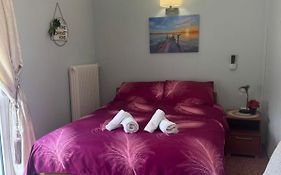 Experience Comfort 5 Alfa